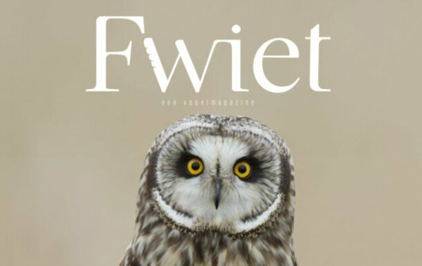 fwiet-magazine-birdwatchers-aspect-ratio-640-403