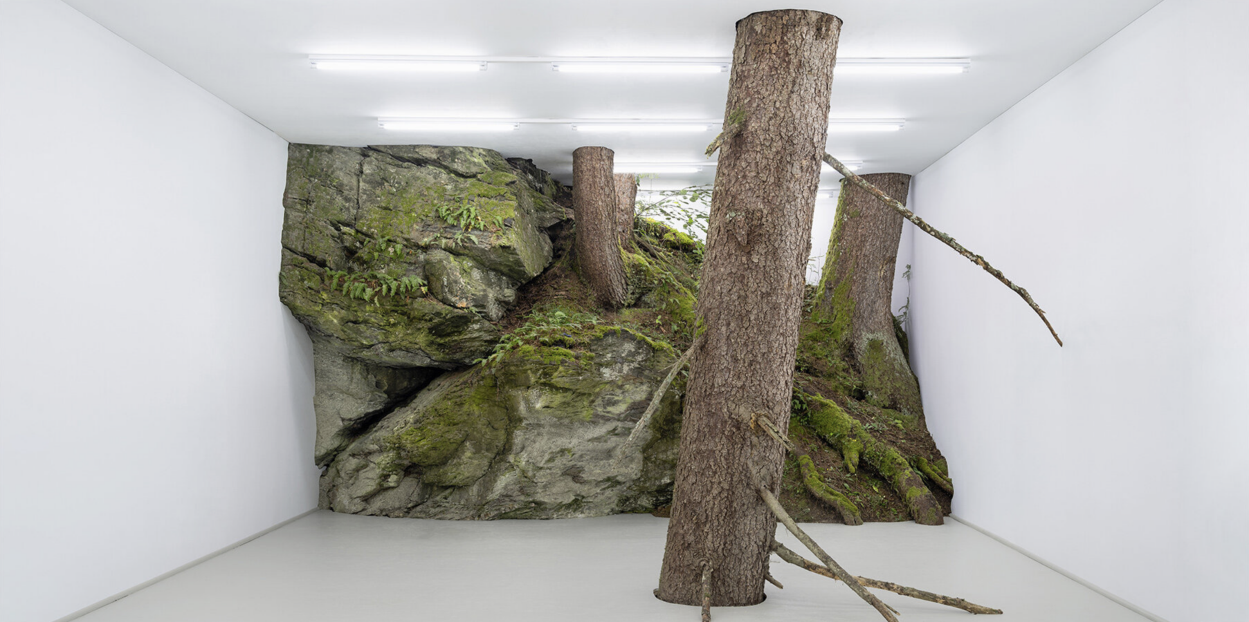 Kate Stockman_fabian knecht installation isolates austria's wild nature within a white cube