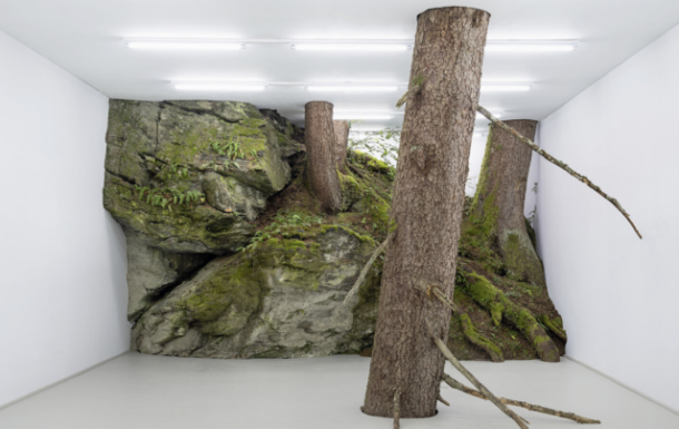 kate-stockman_fabian-knecht-installation-isolates-austrias-wild-nature-within-a-white-cube-aspect-ratio-640-403