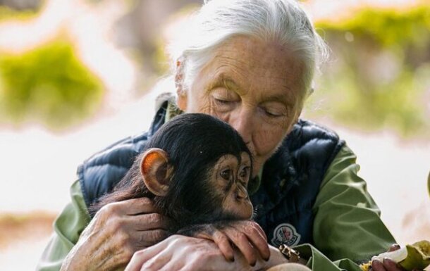 p0m66gw2-aspect-ratio-640-403